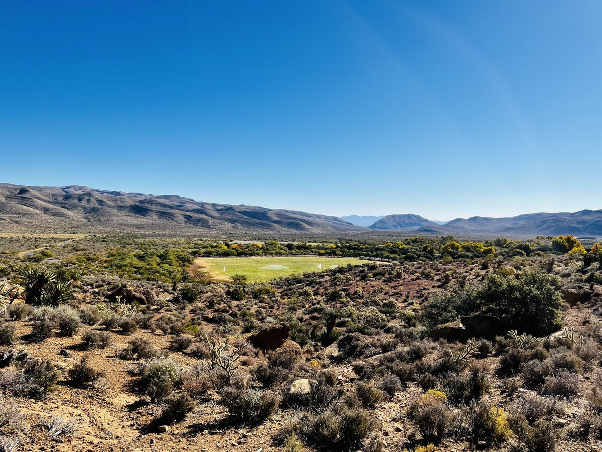 “If you build it, they will come” ☺️ I saw this and of course I thought of #fieldofdreams #springmountains #nevadafall #desertlife