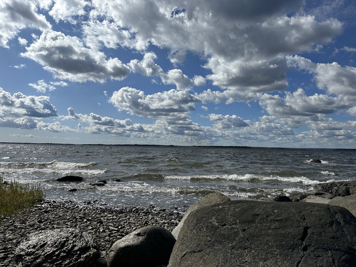 peggymorris (she series) tweet media