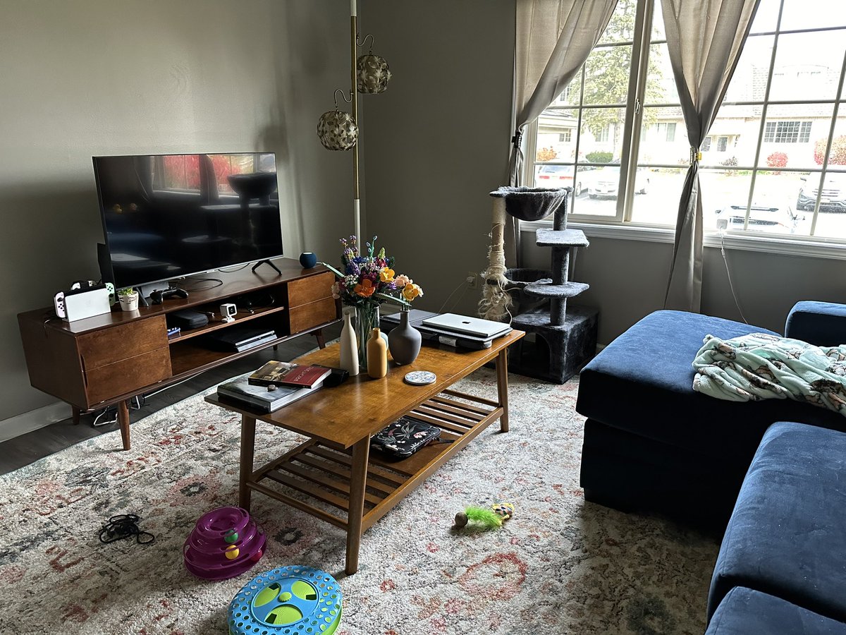 simplicity5708's tweet image. My living room is so close to how I want it (the cat owns the house)