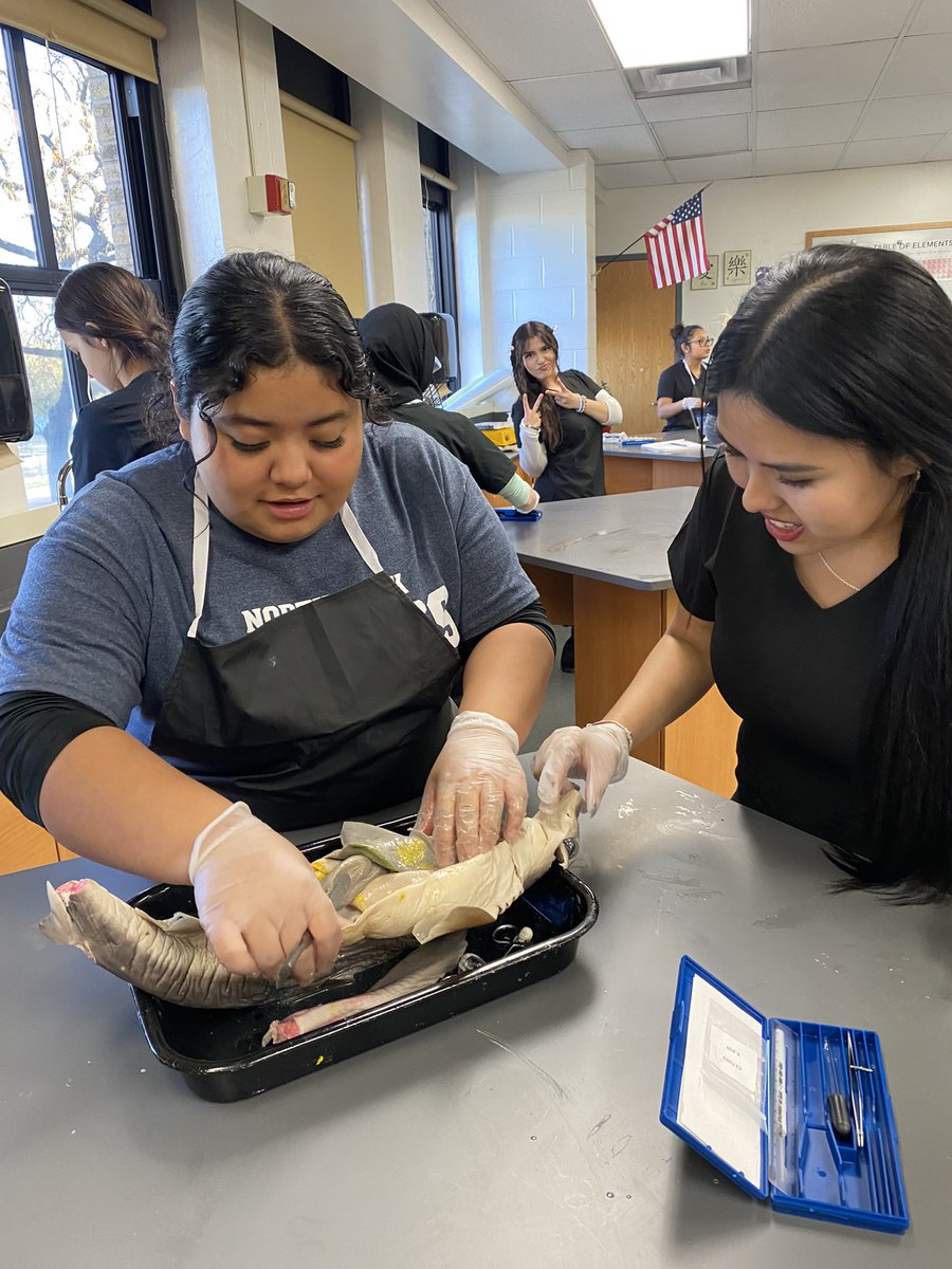 #medicalcareers students have been busy learning and #dissecting #rats & #sharks during lab 🤓 #leydenpride