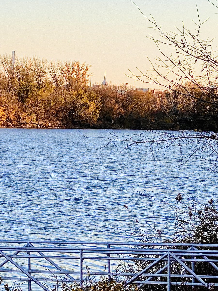 sha210's tweet photo. Gorgeous November afternoon for a walk, then lit the first fire this Fall. So cheery! #NJisbeautiful🍁🌾🔥🍷 https://t.co/W2k8PJvhgO