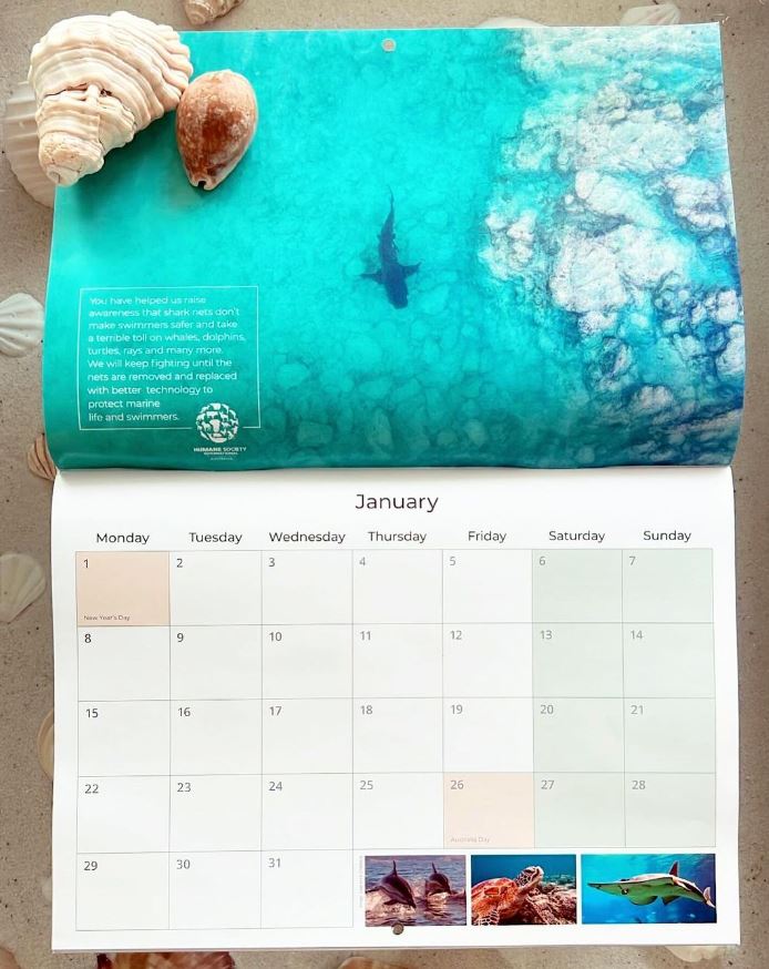 Our 2024 calendar is here! Each month showcases breath taking images of wildlife from around the globe 🌍 By purchasing our calendar you're making a meaningful contribution to our ongoing efforts to protect animals 🐾 bit.ly/49LRi0D