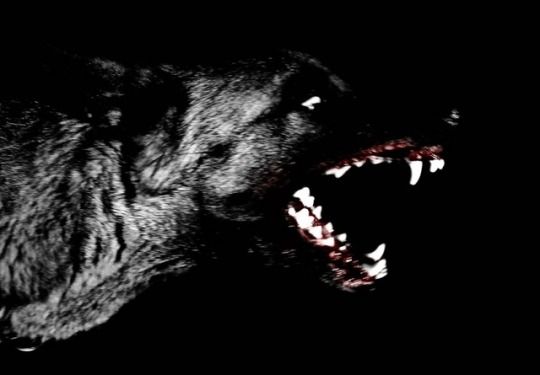 April Marse (@ecdysisinbloom) on Twitter photo 