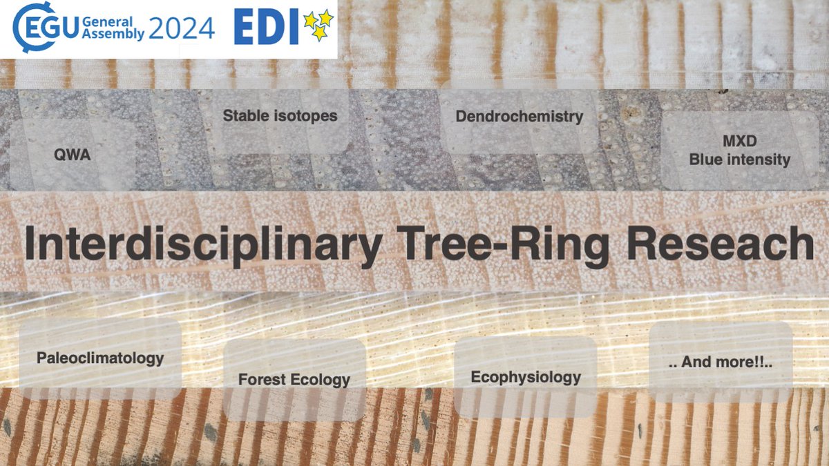 📢#Treering community! We are excited to once again have a wonderful session filled with interesting tree-ring-related talks.🌲💍Abstract submission #EGU24 is now open.
 tinyurl.com/2r6dwmbr
@KerstinTreydte Flurin Babst Jernej Jevšenak @Pieter_Zuidema 
Travel support options👇