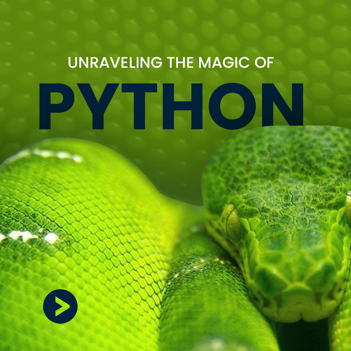 webmotech's tweet image. Python Prowess: Unleashing the Power of Programming Magic 📷📷
#PythonMagic #WebmotechInnovates #CodingWithPython #WebmotechSolutions #PythonDevelopment #TechInnovation #WebmotechWonders #PythonProgramming #WebDevWithPython #DigitalExcellence
