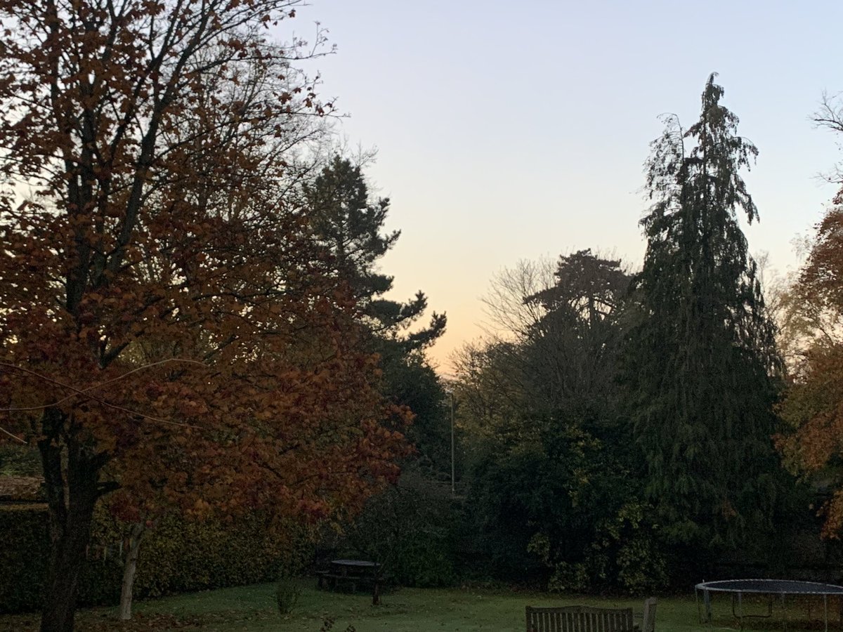 WinCollF's tweet image. Two other kinds of peace on Remembrance Sunday in Chawker’s. The sun coming up in garden. Vth book with a roast in Grubbing Hall. Silence, outside and in.