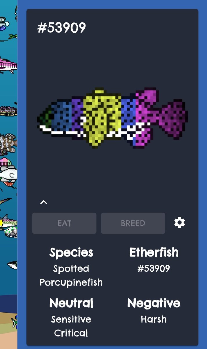 Caught this colorful guy tonight Join me in @EtherFishing on etherfishing.com and catch your own NFT fishes and other water dwelling creatures for free! Use my referral link: etherfishing.com/user/create-ac… #etherfishing #etherium #NFTs #fishing #NFT