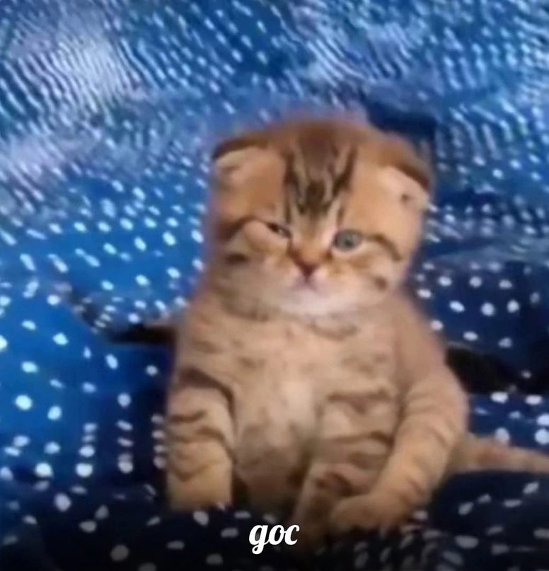 Monday left me broken