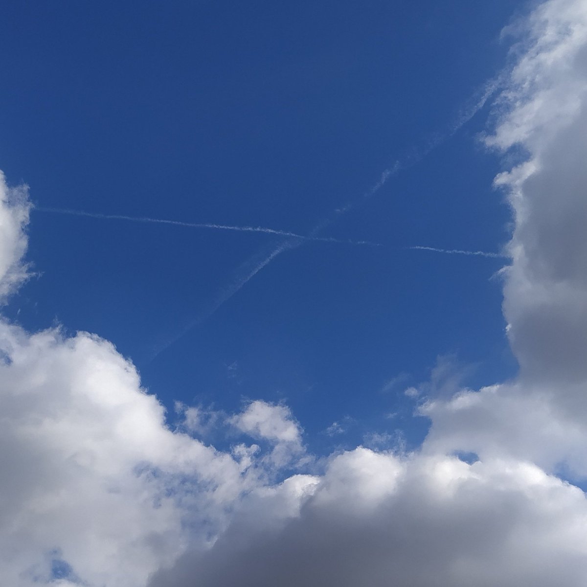 Mon_condensat's tweet photo. Que tota bona Sort i bona energía disponible vingui a mi ara mateix. És benvinguda, i agraïda. Gràcies... bon dia https://t.co/GNn0ywKD7p
