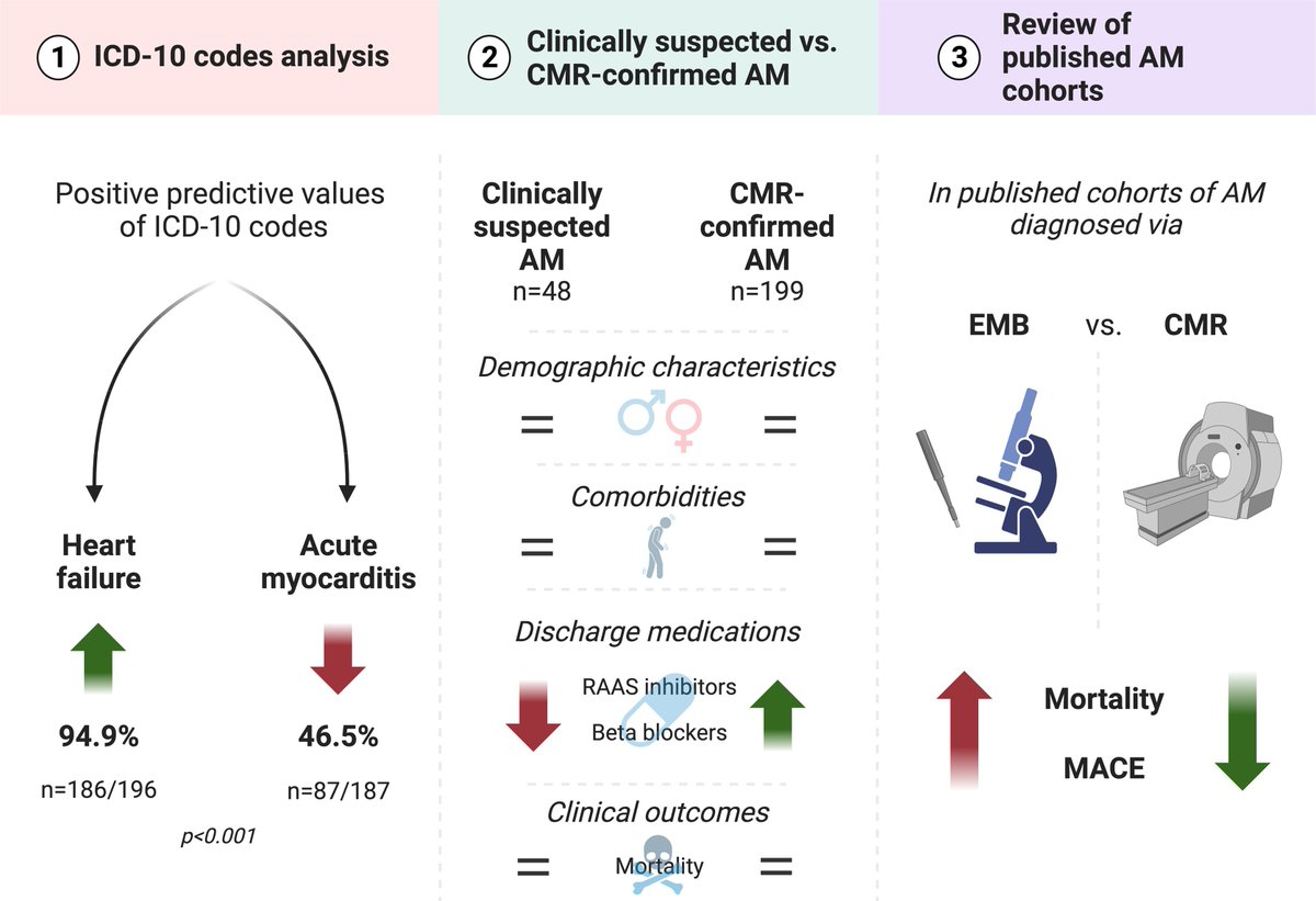 Acute myocarditis: diagnosing challenges, from clinical and academic perspectives. bit.ly/40oPRRj #EHJQCCO #CVD @cpgale3 @diogoasantosfer @adamtimmis