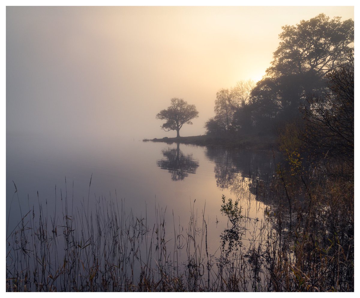 A beautiful atmospheric sunrise in the Lakes this weekend #LakeDistrict  #bassenthwaite