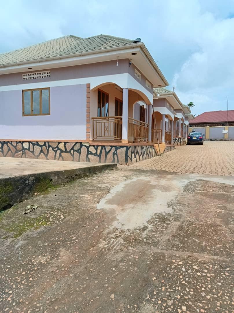shukranproperty's tweet photo. โค๏ธRENTALS FOR SALE.
๐ฉ Each contains #2Bedrooms self contained.
๐ฉLocated house at Garuga on Entebbe road distance from the main road just 1 kilometer.
๐ฉ Monthly income 2.4m with private Mailo land title on table.
๐ฉ Asking price #280m ugx negotiable.
Call 0706592177 https://t.co/Ina7oRGwCT