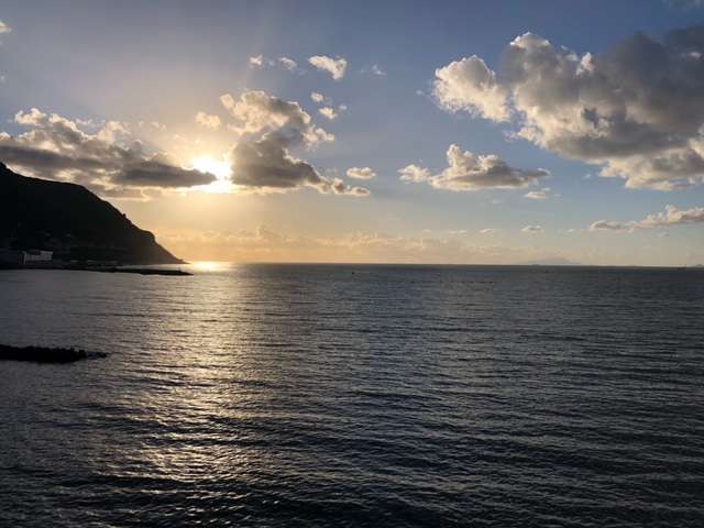 Sonja Lorenz tweet media