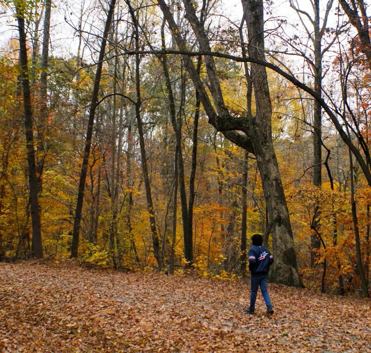 Dub5T's tweet photo. We can fall back in love later🍂 https://t.co/SBLI0IJz8U