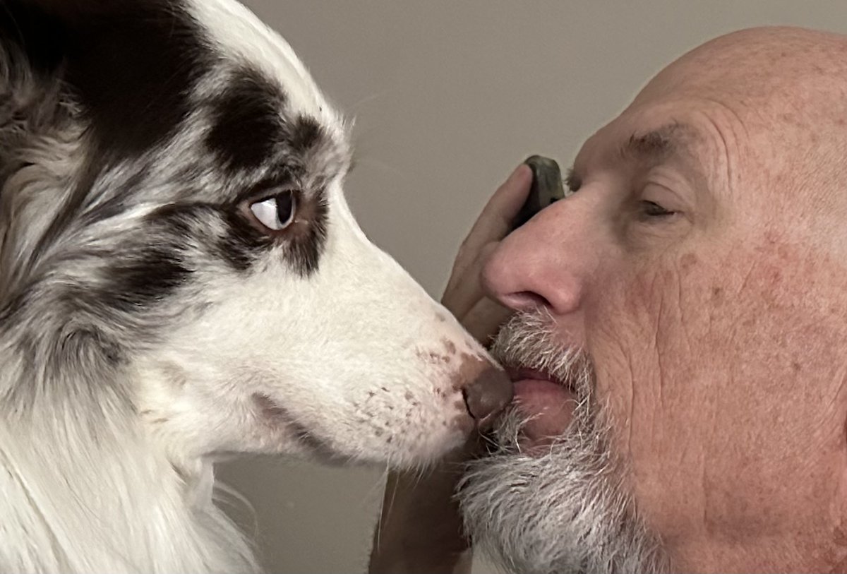 WritingSiblings tweet media