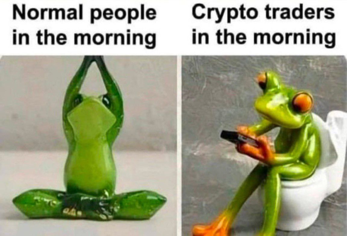 #Crypto traders in the morning🐸