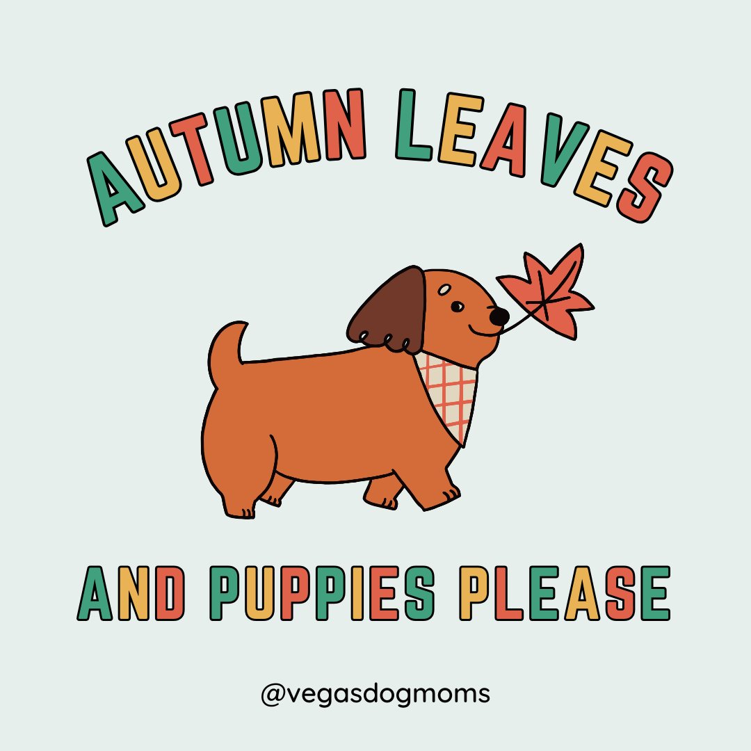 🍂 HELLO FALL SEASON 🍂
Drop an emoji if you can relate 👇🏻​​​​​​​​
💖 ​​​​​​​​𝑀𝒶𝓀𝑒 𝓅𝑒𝓉 𝓁𝒾𝓋𝑒𝓈 𝒷𝑒𝓉𝓉𝑒𝓇 𝒾𝓃 𝐿𝒶𝓈 𝒱𝑒𝑔𝒶𝓈​​​​​​​​
🐾 Want more? Click the link in our bio! ​​​​​​​​​​​​​​​​​​​​​​​​
🥰 hosted by alexa the #mindfuldogmom