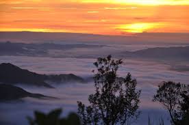 👋👋 Chào buổi sáng mọi người nha
😢 Từ lúc sếp phát lương cho các ae thì mình không nhận được lương nên khá buồn, trầm cảm cuối tuần 😷
😀 Mà lỡ đâm lao rồi thì phải theo lao thôi chứ sao mà bỏ được

Mình thì đang suy nghĩ nên làm 1 loại content nào để làm