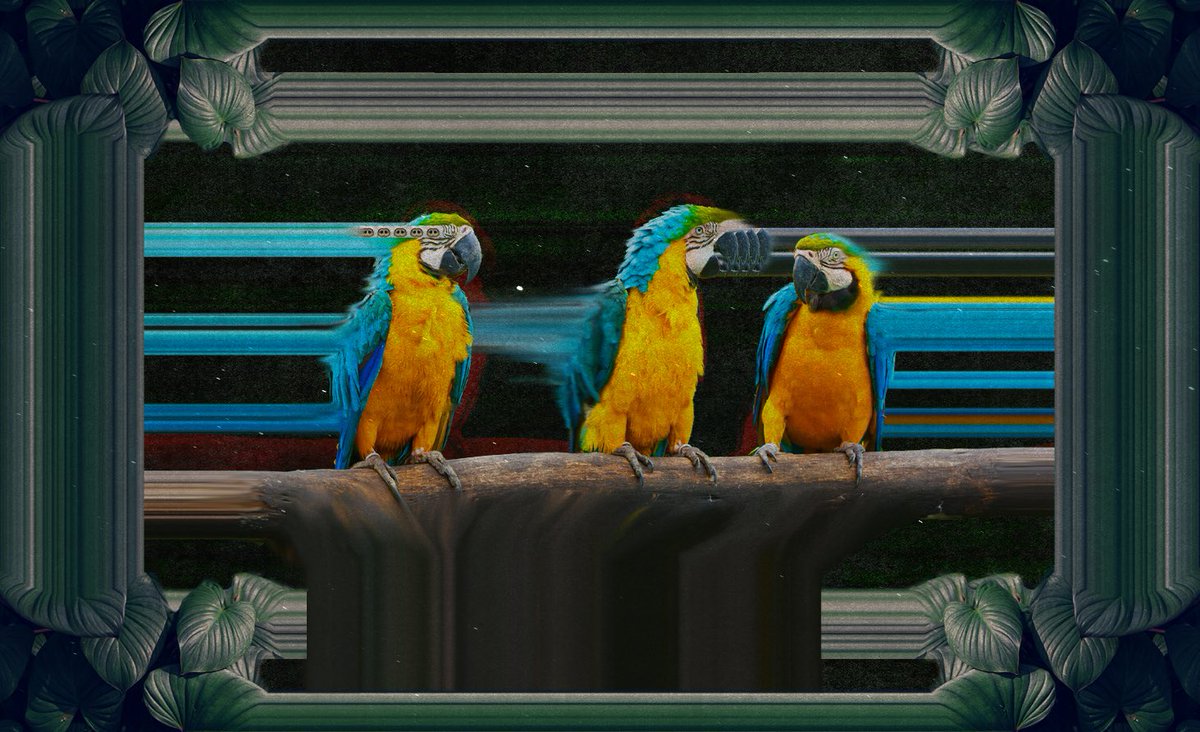 PlantBoyz69's tweet image. I’m opening up commissions for stream related design stuff. Logos, panels, emotes, obs scenes, motion graphics I do all that stuff and more! Working on getting a fiverr and kofi page set up but dm if you want some stuff. I’m starting at 15 a pop for graphics so hmu