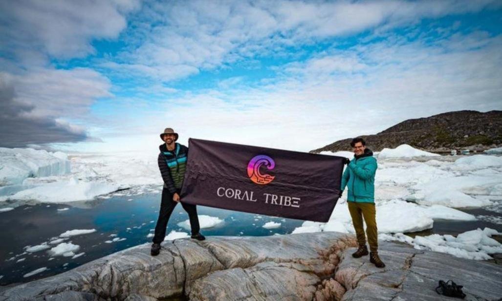 Coral Tribe 🌊 tweet media