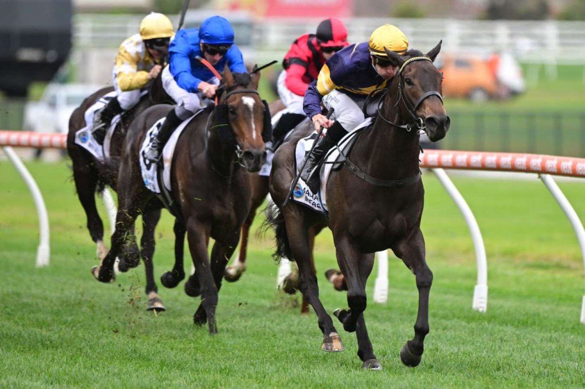 Michael Moroney is confident in the chances of Coeur Volante in the Group 1 Thousand Guineas at Caulfield on Saturday.

For full story, view link below.

jockeyhub.com.au/trainer-hub/mo…

#AusTrainerNews #TrainerHubAustralia #AustralianHorseRacing #VICRacing #G1Racing #ThousandGuineas