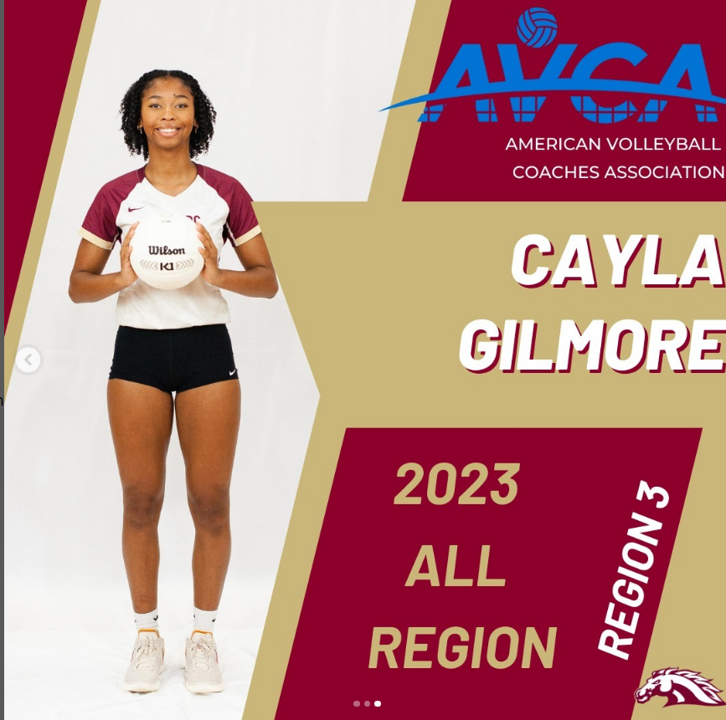 CaylaGilmore23's tweet photo. Thankful for being named to the AVCA All Region Team! (Region 3 - AL, SC, NC, TN, GA, and FL) https://t.co/bN2wqd9BtI