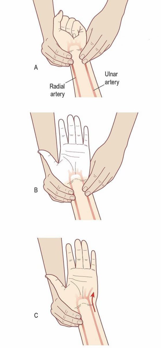 1. What is the name of this test?

2. What does it assess?