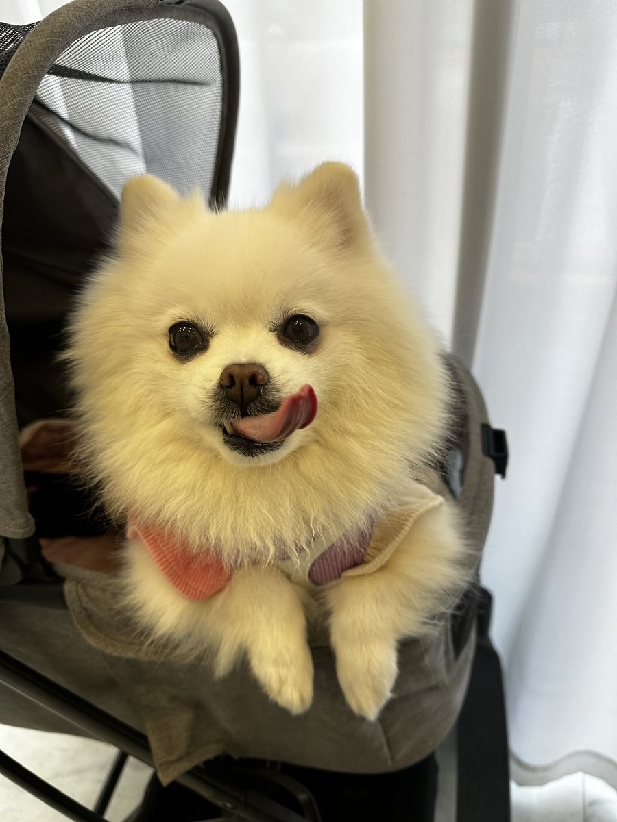 언니 나를 안아조