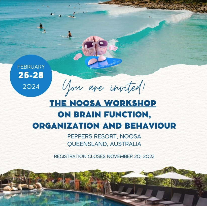 Only 1 more week to register for the Noosa workshop on brain function, organization, and behaviour! 

Get in while you can for some amazing science, sun, and surf:

monash.edu/medicine/psych…