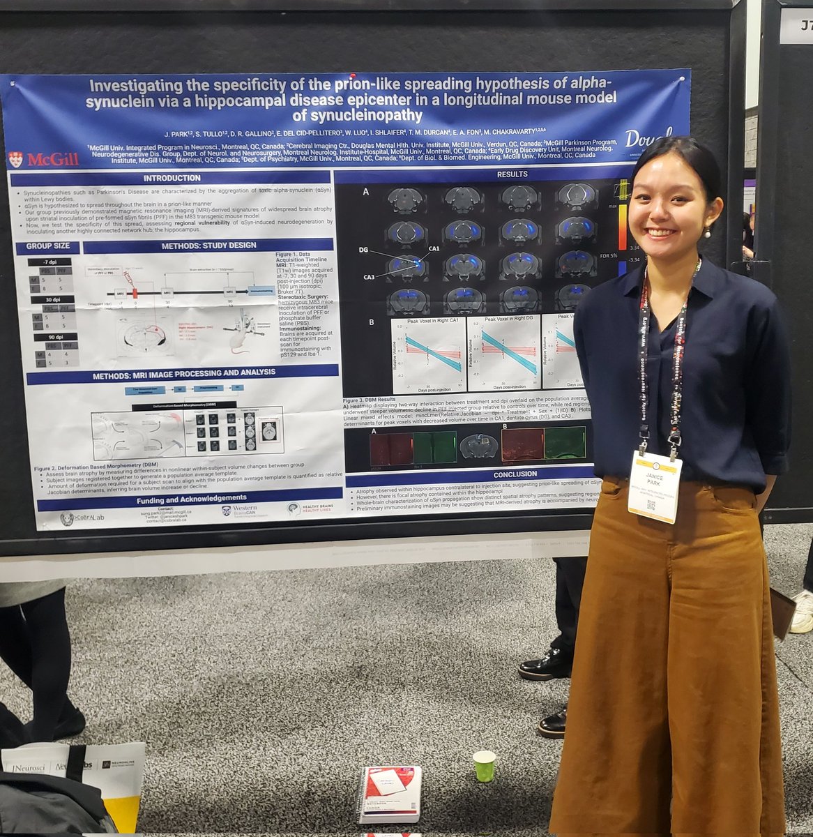 Beyond grateful for the feedback and discussions I had at #SfN2023 for my poster on regional vulnerability in hippocampal alpha-synuclein toxicity!