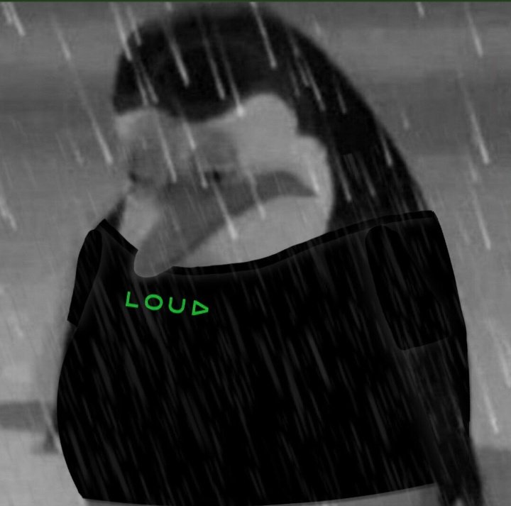 LoudComments's tweet photo. trevoso https://t.co/l0UfQpKIz2