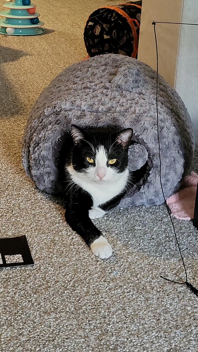 💛💜Haley💜💛 tweet media