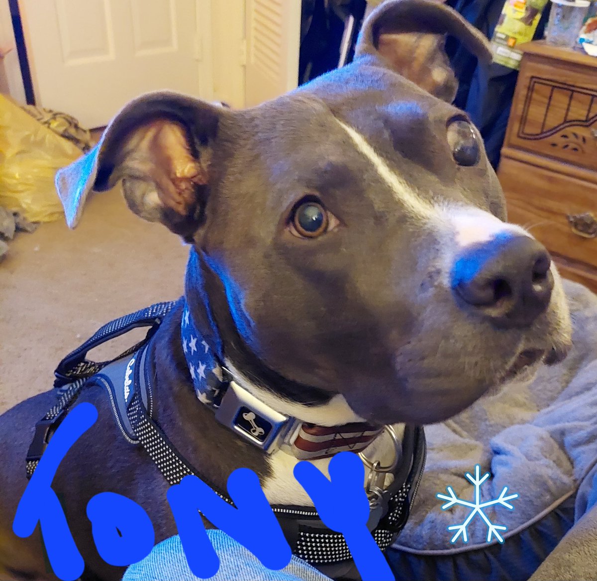 EricRyanCraig79's tweet photo. My Best Friend... https://t.co/DdyaK7RDNb