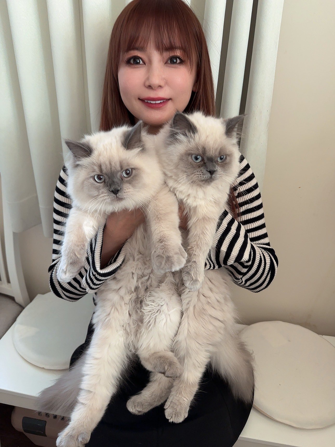 キユーピー - 超可愛い キューピー と 仲良し猫ちゃん 美品の