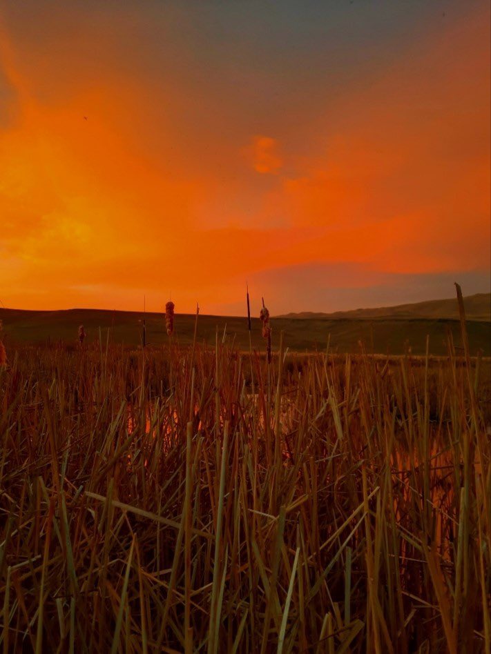 Van’da kuzey ışıkları tekrar görüldü. (İHA)