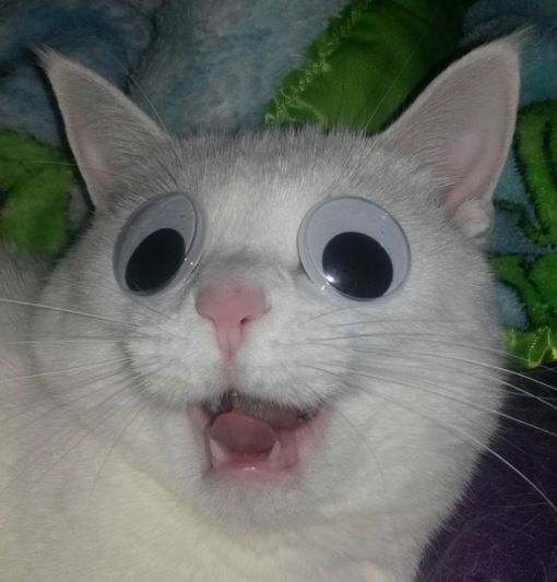 mitocondre's tweet photo. other organelles when they realize they all need ATP (which we make!!) to do the jobs they're so proud of:
 #rmorganelles23 @Mrs_Albaugh https://t.co/EvLVz9UFFM