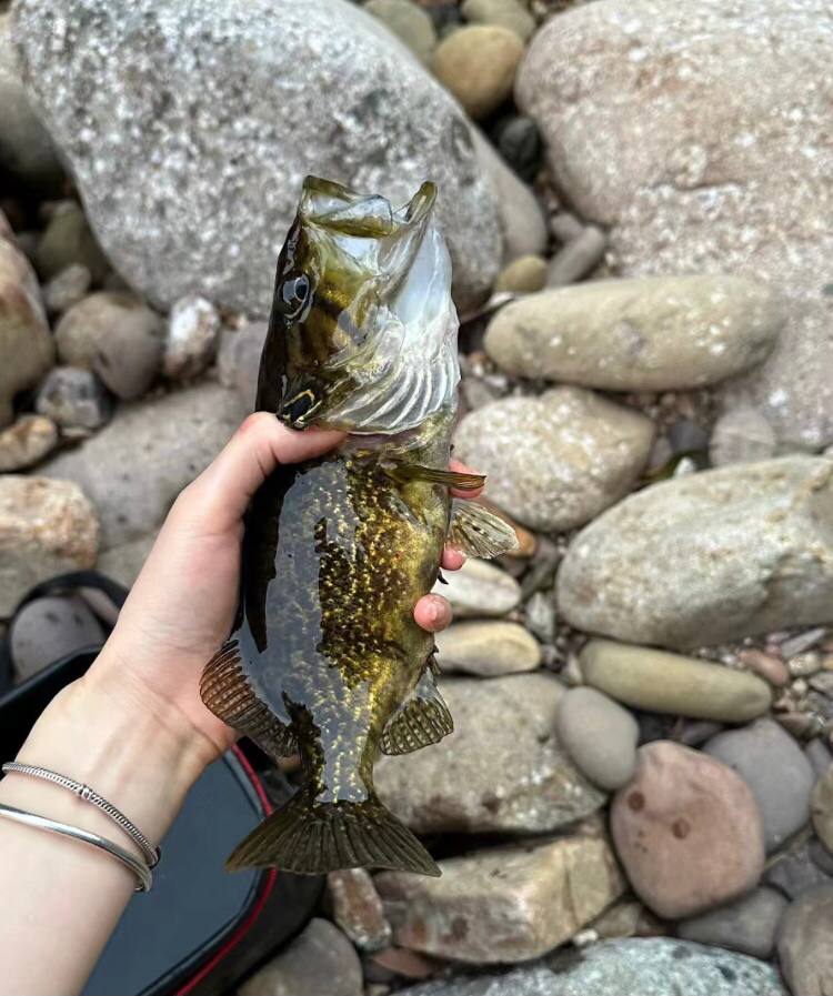 It doesn’t matter whether you catch fish or not. What’s important is that fishing can help you figure out things that you normally can’t, and you can see people you can’t usually see clearly. Had a great weekend in nature.
           Good night! !