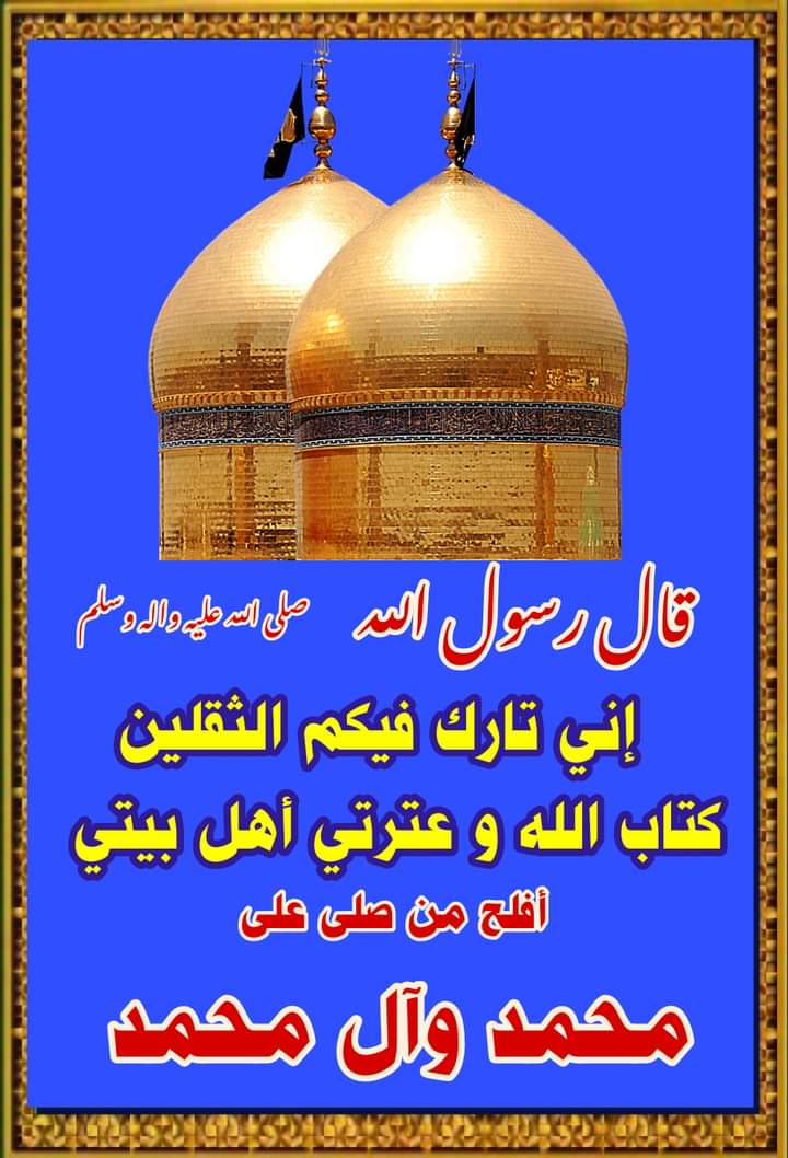 Fatima Rizvi tweet media