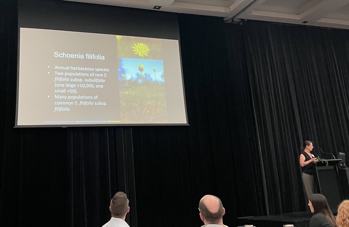 Australian Seed Bank Partnership (@seedpartnership) on Twitter photo Leonie Monks from <a href="/Science_DBCA/">Biodiversity and Conservation Science</a> describing the outcomes of recent studies of genetic diversity and mating systems for 4 threatened plant spp. in WA with translocated populations. #ICTC23 Leonie Monks from <a href="/Science_DBCA/">Biodiversity and Conservation Science</a> describing the outcomes of recent studies of genetic diversity and mating systems for 4 threatened plant spp. in WA with translocated populations. #ICTC23
