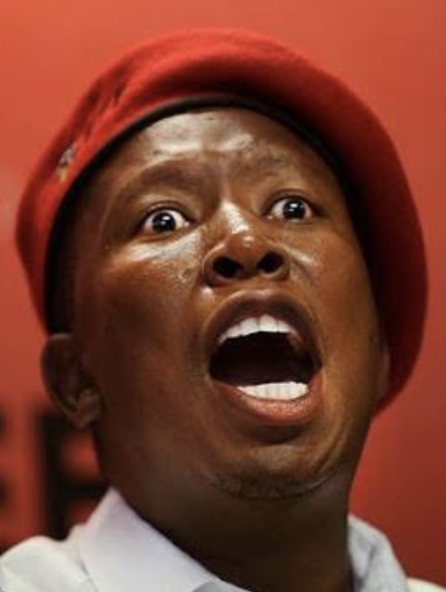 Julius Malema is becoming more and more ‘unhinged and desperate’ each and every day, and it’s glorious to watch, as he exposes himself to be a complete and utter failure as a human being! Who AGREES?! 🤚 This pathetic mess, right here…👇