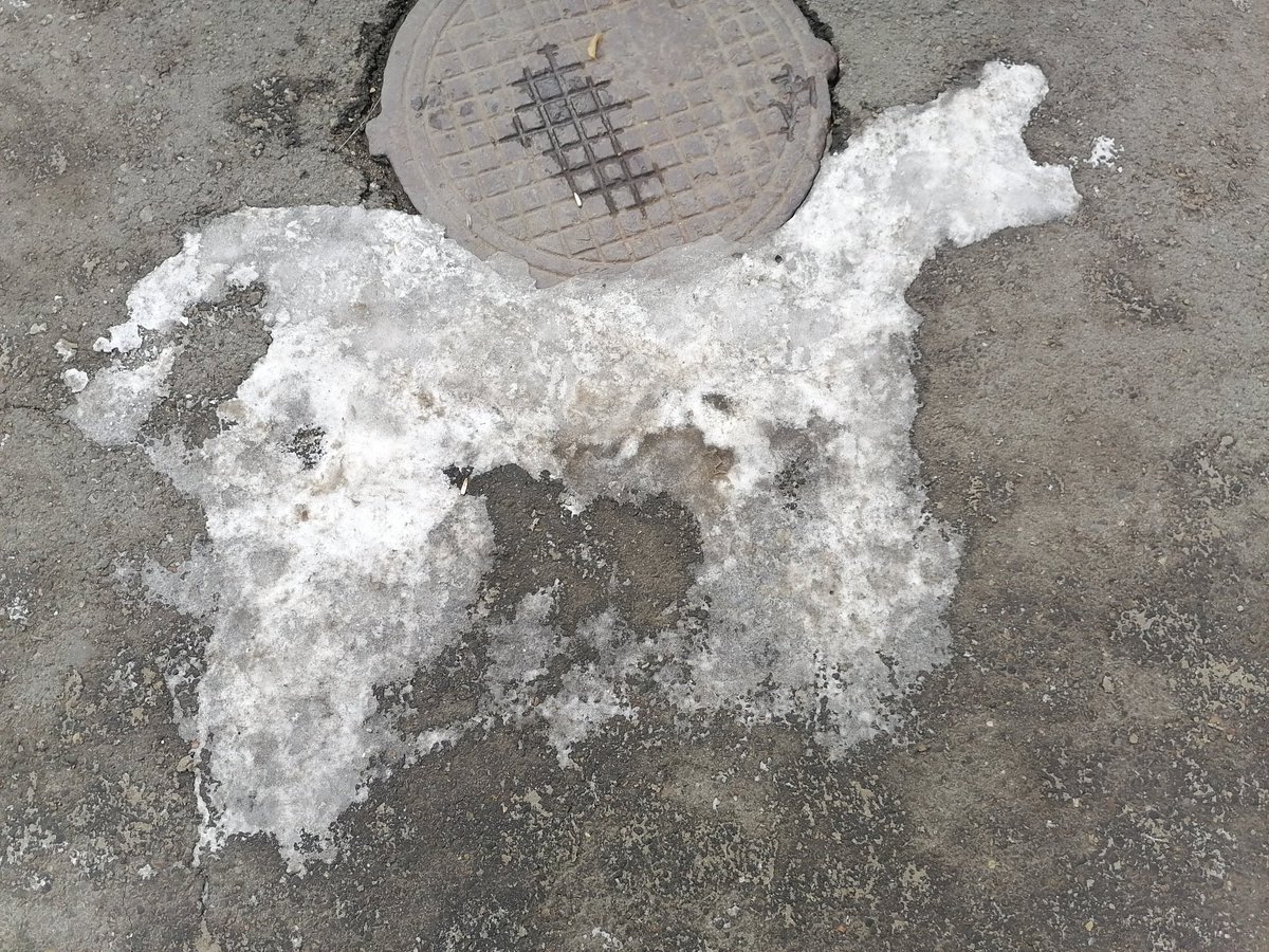 cornnflake tweet media