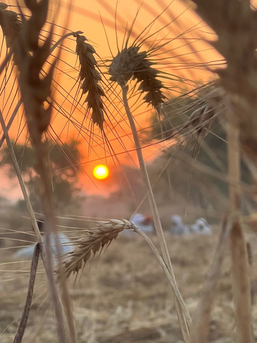 अstuti tweet media