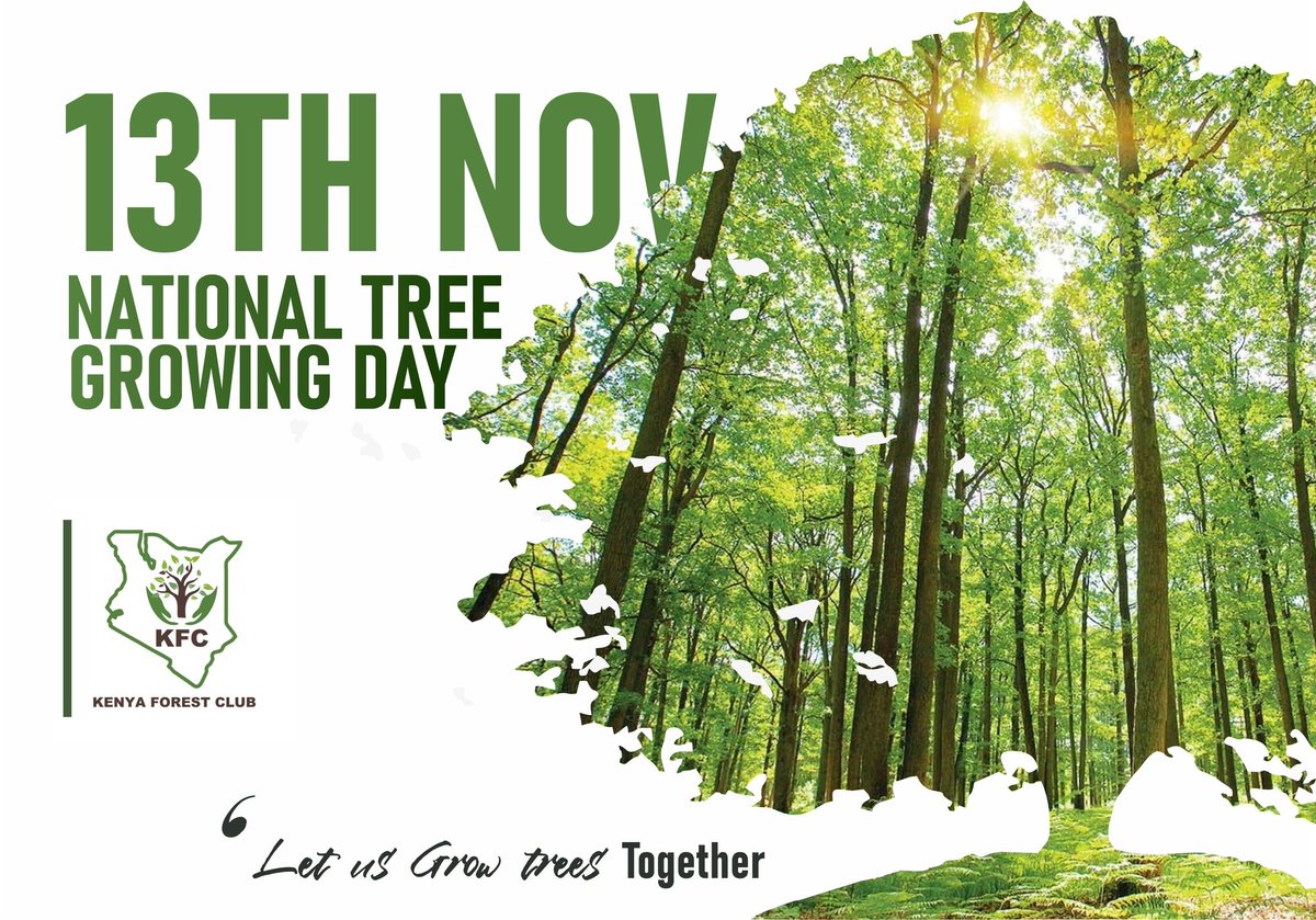Happy National Tree Growing Day.

#15billion
#jazamiti