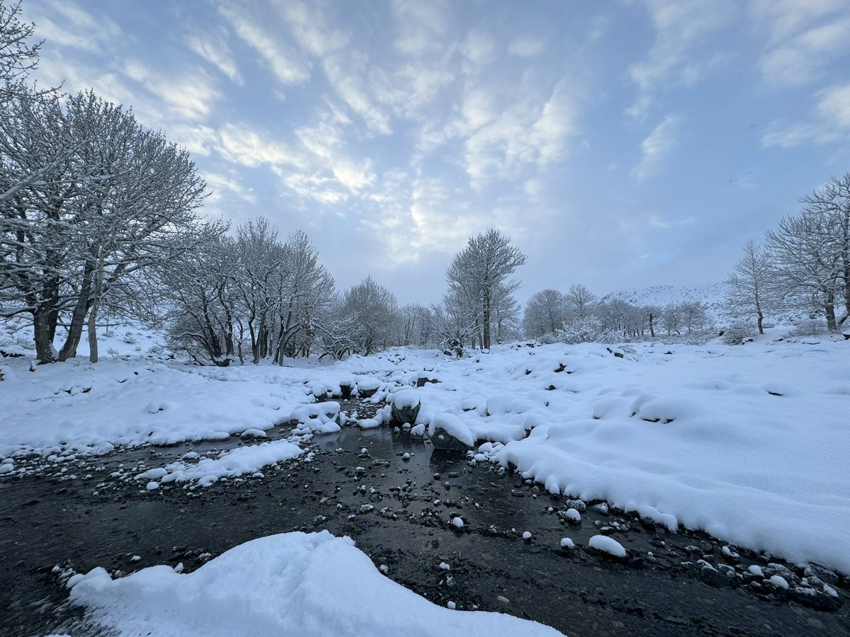 Увс аймаг, Улаангом 2023.11.13
Цас ороод л цан хүрэгээ айхтар татуулсан байна. Увс нуур, Хяргас нуур хөлдөх гээд өдөр шөнөгүй манантай байх юм.