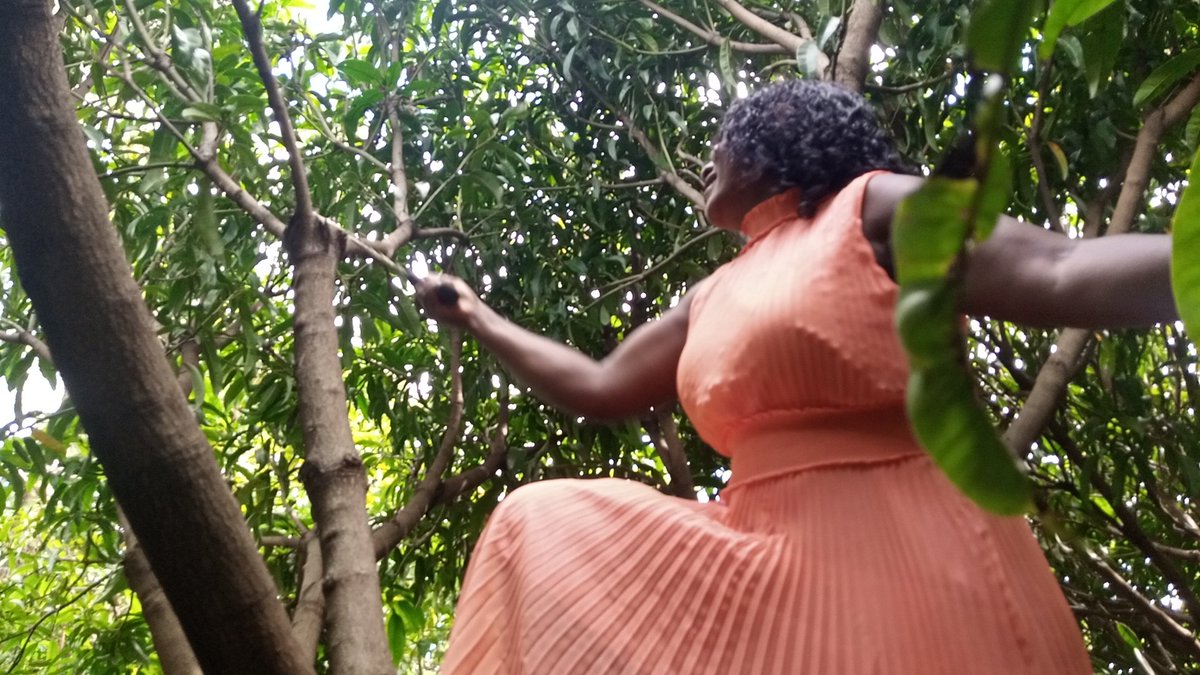 Environmentalists and farmers in @IdealMigori taken through Coffee and fruit trees management, a workshop that took 2 days emphasizing on basis cutting of dead branches to allow maximum fruition. <a href="/Environment_Ke/">Ministry of Environment, Climate Change & Forestry</a>
<a href="/Environment_Ke/">Ministry of Environment, Climate Change & Forestry</a> <a href="/MigoriAssembly/">MigoriCountyAssembly</a>
#NationalTreeGrowingDay