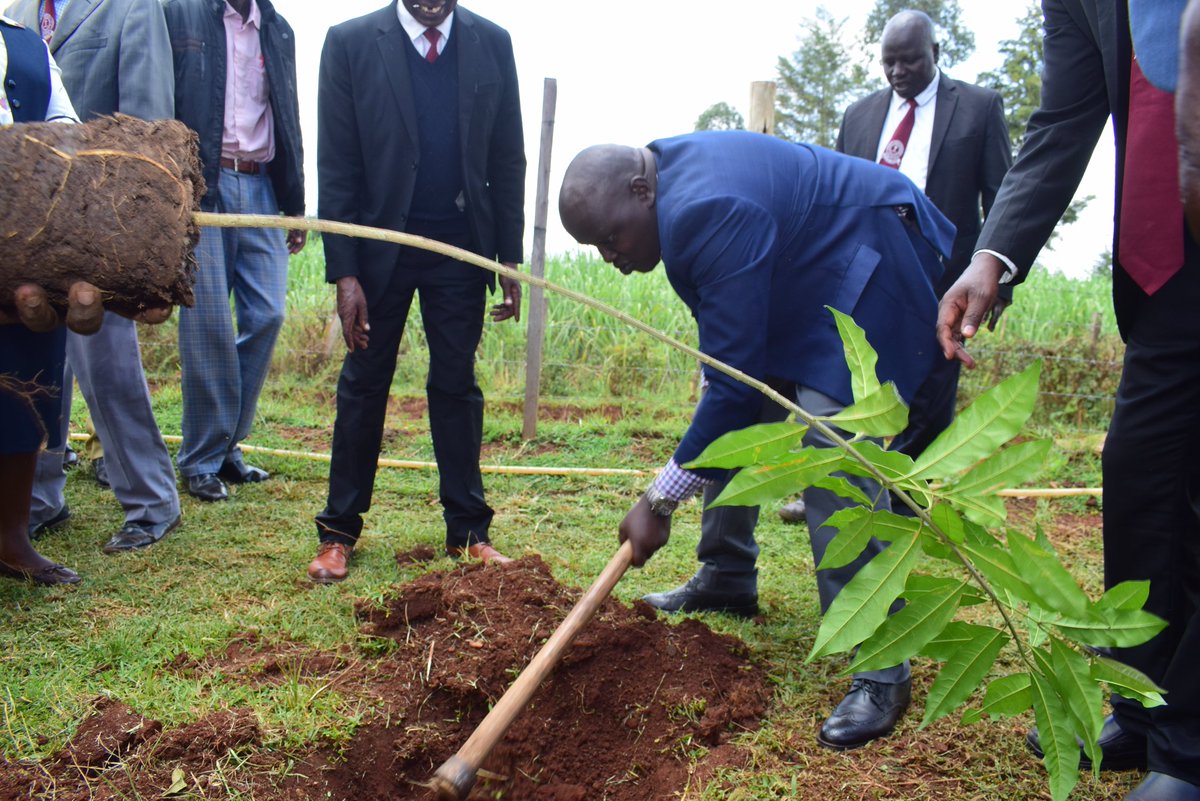 The challenge is ON towards the 15B trees by 2030. The best time to plant a tree is NOW and next best time is NOW. #mtetezi Blessed day.