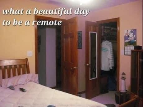 NO CONTEXT HUMANS (@humansnocontext) on Twitter photo 