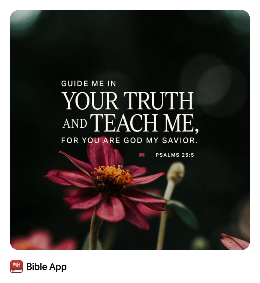 Dennis Green tweet media