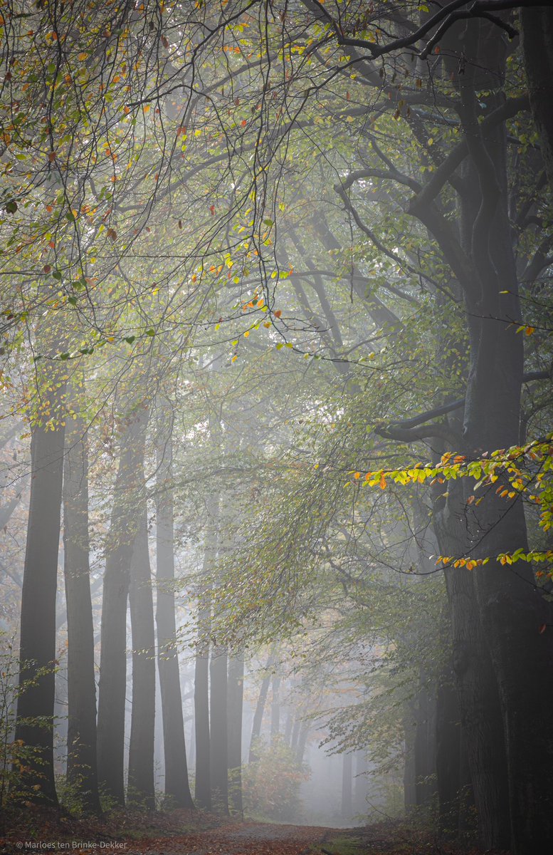 Volop genieten van de herfst! 
#herfst #canonnederland