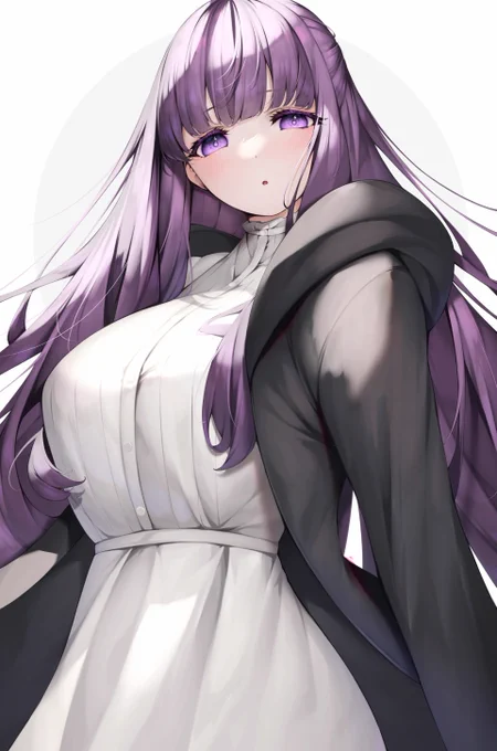 ぼくはフェルンちゃん! #フリーレン 